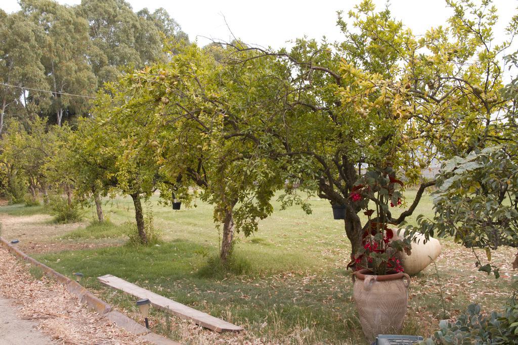 Country & Beach B&B Capoterra Exterior foto