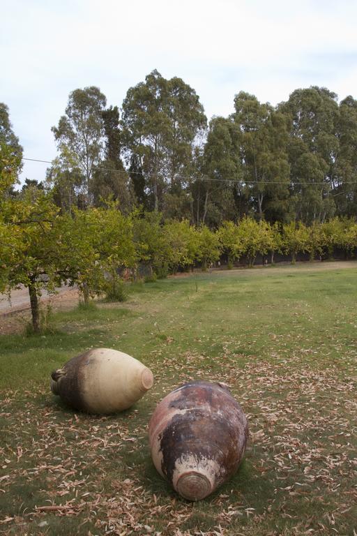 Country & Beach B&B Capoterra Exterior foto